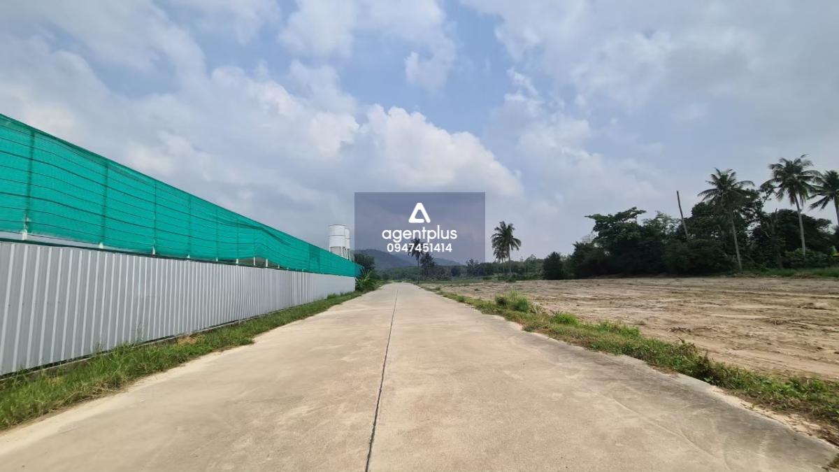 ขายที่ดิน 14 ไร่ ผังม่วงลาย ถ.331 เขาคันทรง-ศรีราชา เหมาะทำโกดัง โรงงาน ใกล้นิคมอุตสาหกรรม (แบ่งขายได้)