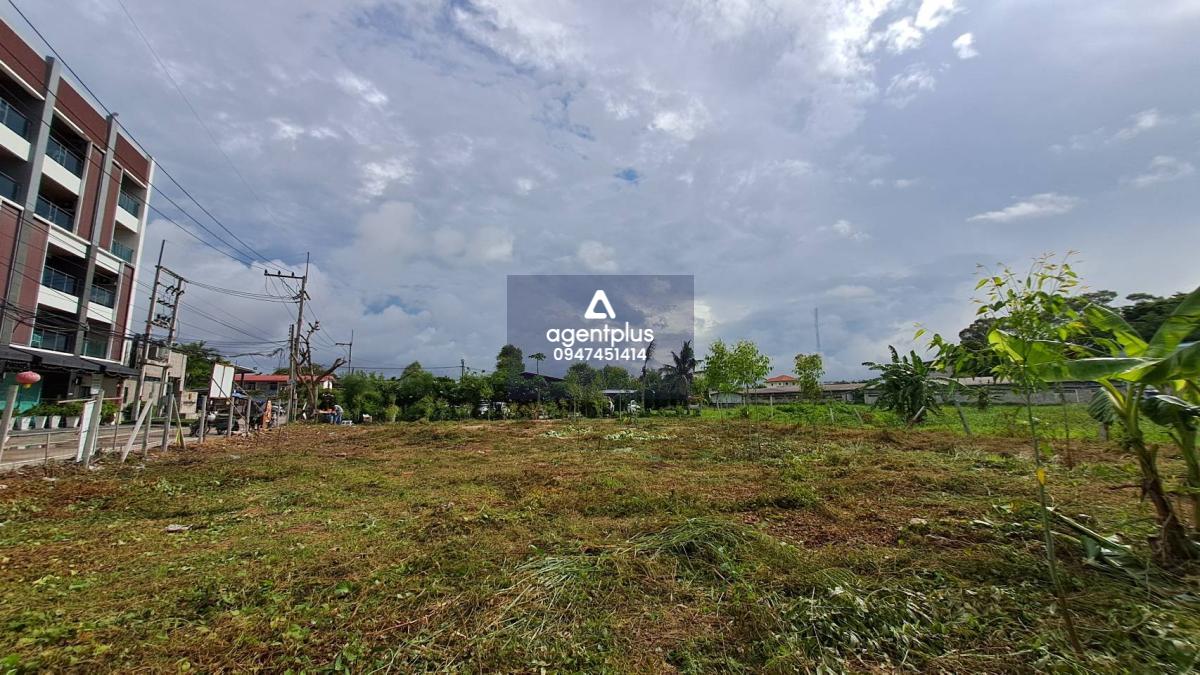 ขายที่ดินใกล้ทะเล เดินไปทะเลเพียง 200 เมตร บางละมุง 12 พัทยา