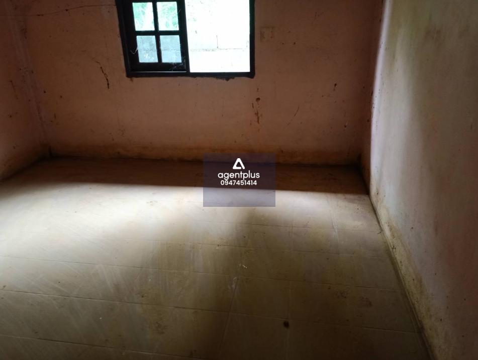 บ้านเดี่ยว ซอยสมชาญ นิคมพัฒนา บ้านเดี่ยวชั้นเดียว การคมนาคมสะดวก สาธารณูปโภคครบครัน ใกล้แหล่งชุมชน พื้นที่เกษตรกรรม