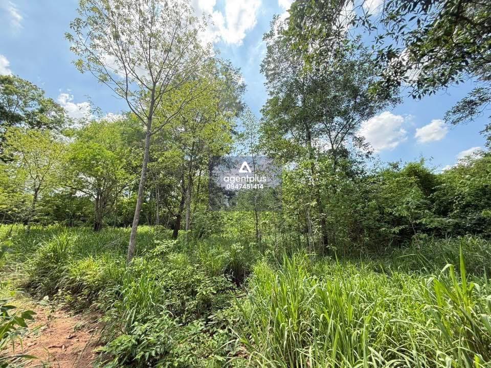 ขายที่ดินใน สนามกอล์ฟ กรีนวูด