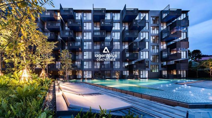 The-Deck-Patong The-Deck-Patong