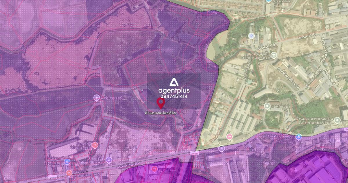ที่ดินติดถนนบ้านเก่า ผังสีม่วง อมตะ-พานทอง ชลบุรี
