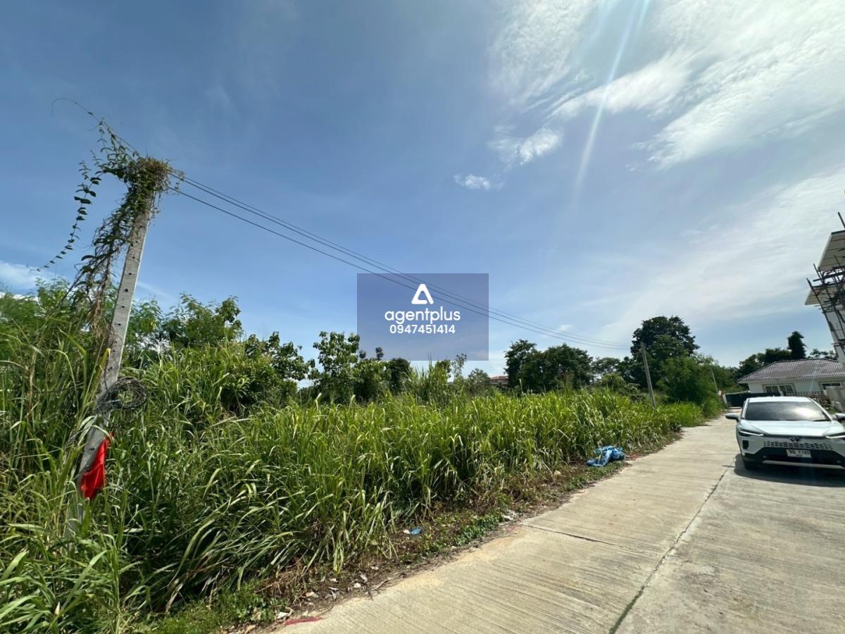  ขายที่ดินในโครงการชากนอก 19