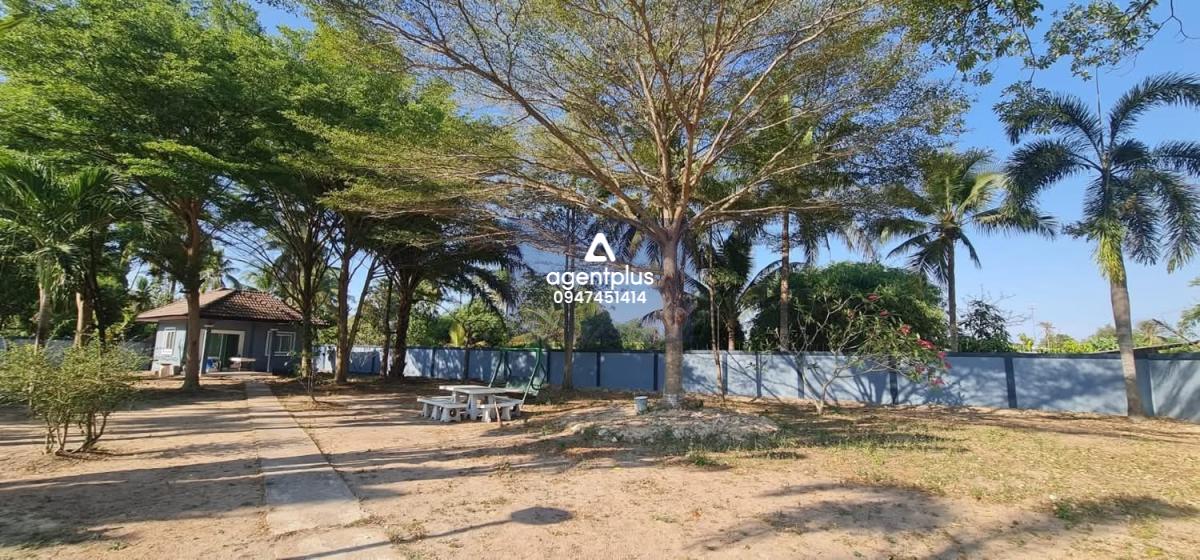 ขายบ้านหลังใหญ่ พร้อมสระ เนื้อที่กว้างมาก หนองมะนาว พัทยา