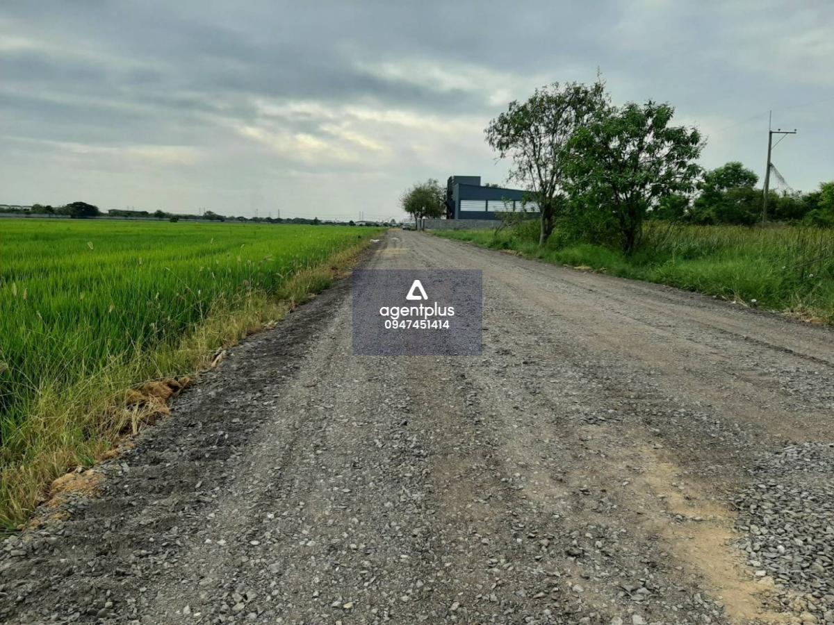 ขายที่ดิน 7 ไร่ พื้นที่สีม่วงเข้ม ลำลูกกา ปทุมธานี