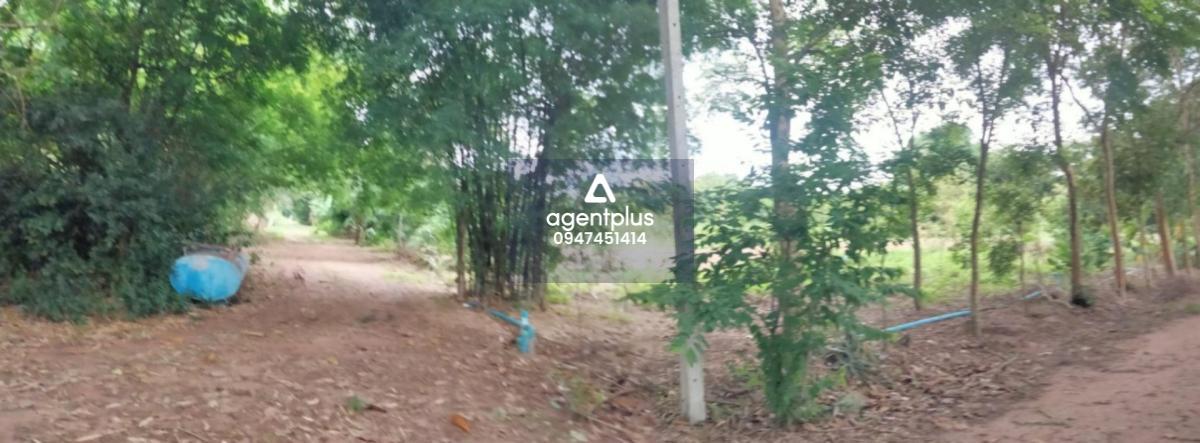 บ้านเดี่ยวชั้นเดียว ลักษณะเป็นที่ดินพร้อมสิ่งปลูกสร้าง ทำเลดีติดถนน สภาพแวดล้อมโดยรอบเป็นพื้นที่เกษตรกรรม เดินทางเข้า-ออกได้สะดวก ใกล้แหล่งอำนวยความสะดวก