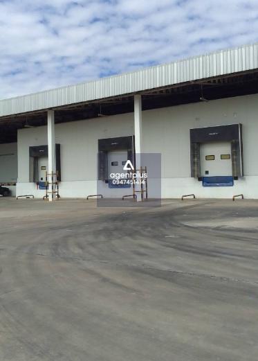 ให้เช่าโกดัง ห้องเย็น เก็บผักผลไม้  ท่าพระ