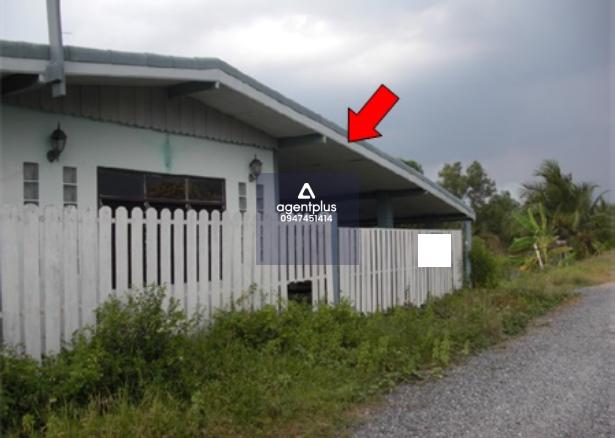 ขาย บ้านเดี่ยว ถนน คลองเก้า หนองจอก