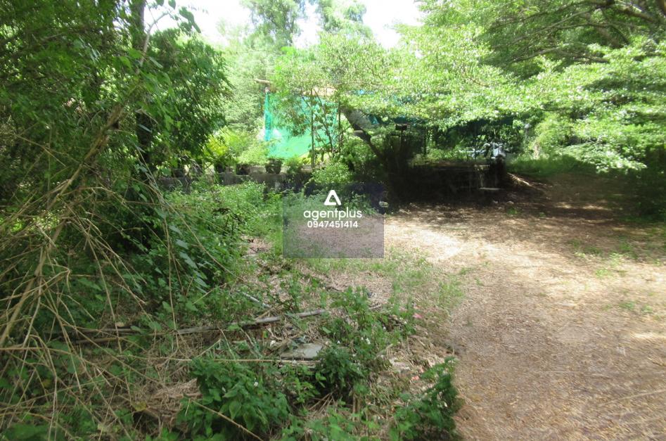 บ้านเดี่ยว 2 ชั้น การคมนาคมสะดวก ใกล้แหล่งชุมชน ซอยมะลิแก้ว ถนนศรีสุทัศน์