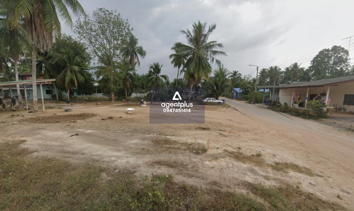 ที่ดินแปลงสวย 98.8 ตร.ว. ราคาคุ้มค่า 1.6 ล้าน | โอกาสทอง