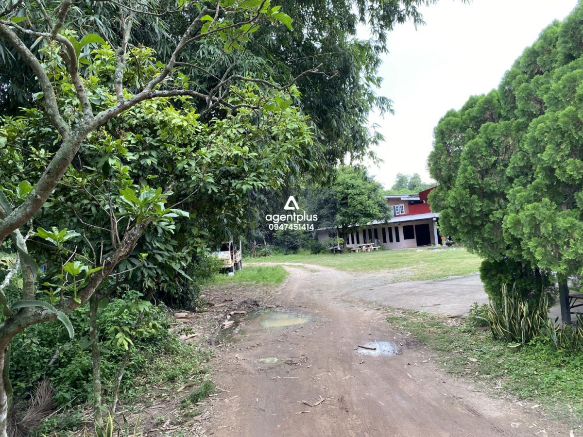 บ้านเดี่ยวชั้นเดียว ลักษณะเป็นที่ดินพร้อมสิ่งปลูกสร้าง ทำเลดีติดถนน สภาพแวดล้อมโดยรอบเป็นพื้นที่เกษตรกรรม เดินทางเข้า-ออกได้สะดวก ใกล้แหล่งอำนวยความสะดวก