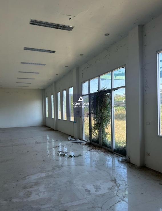 ให้เช่าโรงงานขนาดใหญ่ ติด ถ 304 โคราช อยู่อำเภอ ปักธงชัย จ นครราชสีมา