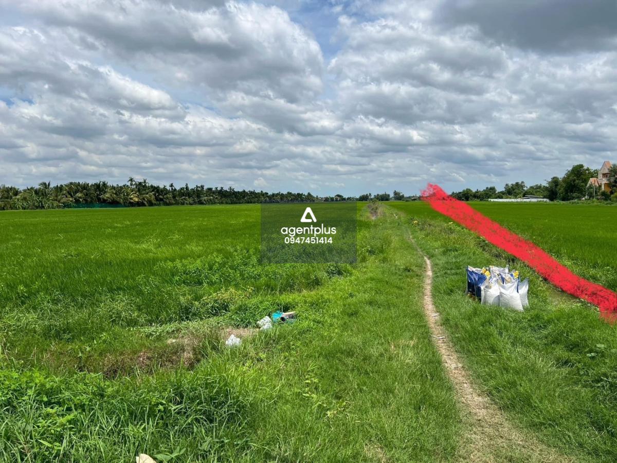 ขาย  ที่ดินเปล่า 51-2-22 ไร่ ต.มหาสวัสดิ์ อ.พุทธมณฑล จ.นครปฐม 