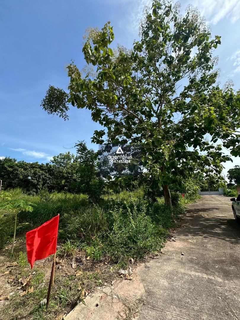 ขายที่ดินในห้อยใหญ่ แปลงสวย ทำเลสงบ