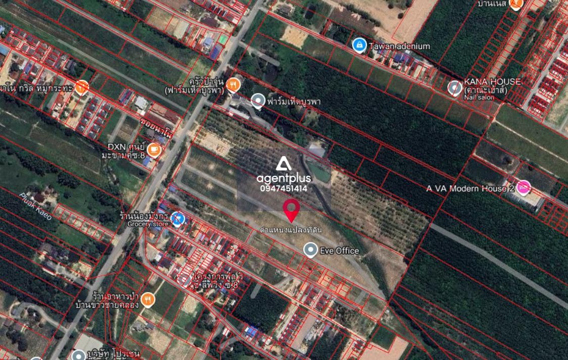 ขายที่ดิน 24 ไร่ มาบข่า นิคมพัฒนา ระยอง ที่ดินแปลงใหญ่ทำเลศักยภาพ 