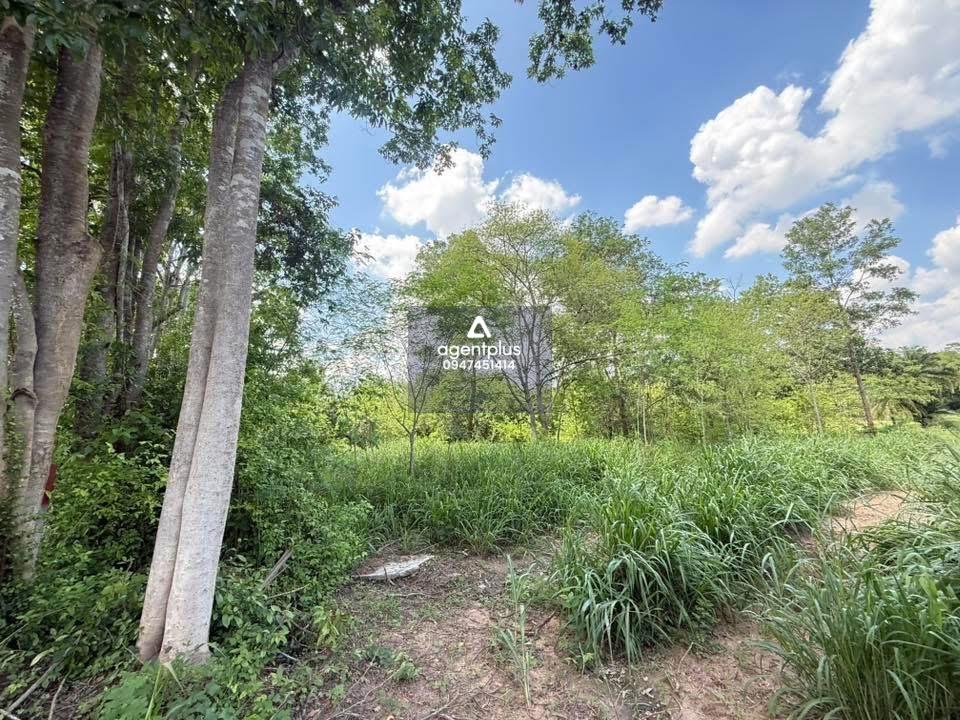 ขายที่ดินใน สนามกอล์ฟ กรีนวูด