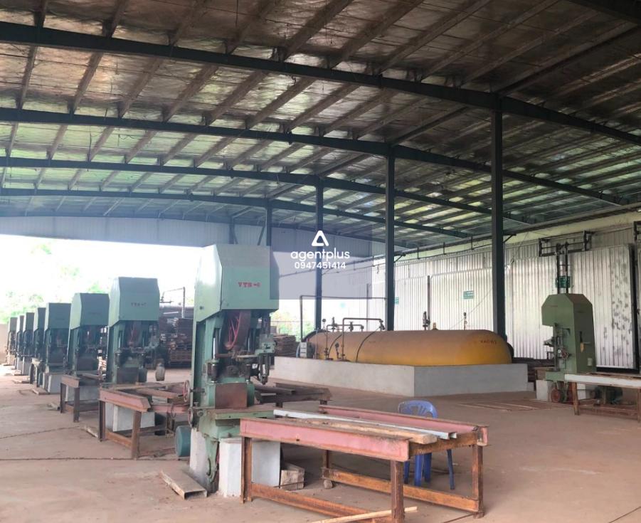 *ขายที่ดินพร้อมสิ่งปลูกสร้างโรงงานเลื่อยไม้ยางพาราและเครื่องจักร (ใบอนุญาตประกอบกิจการ)ให้คุณพร้อมดำเนินธุรกิจ