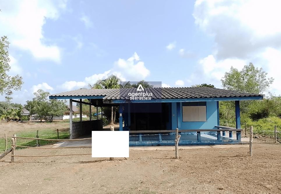 บ้านเดี่ยวชั้นเดียว ทำเลในแหล่งชุมชน ติดซอยสตาภิรมย์ถนนพลงช้างเผือก แยกจากถนนสุขุมวิท (ทล.3) ระหว่าง ก.ม. ที่ 270-271