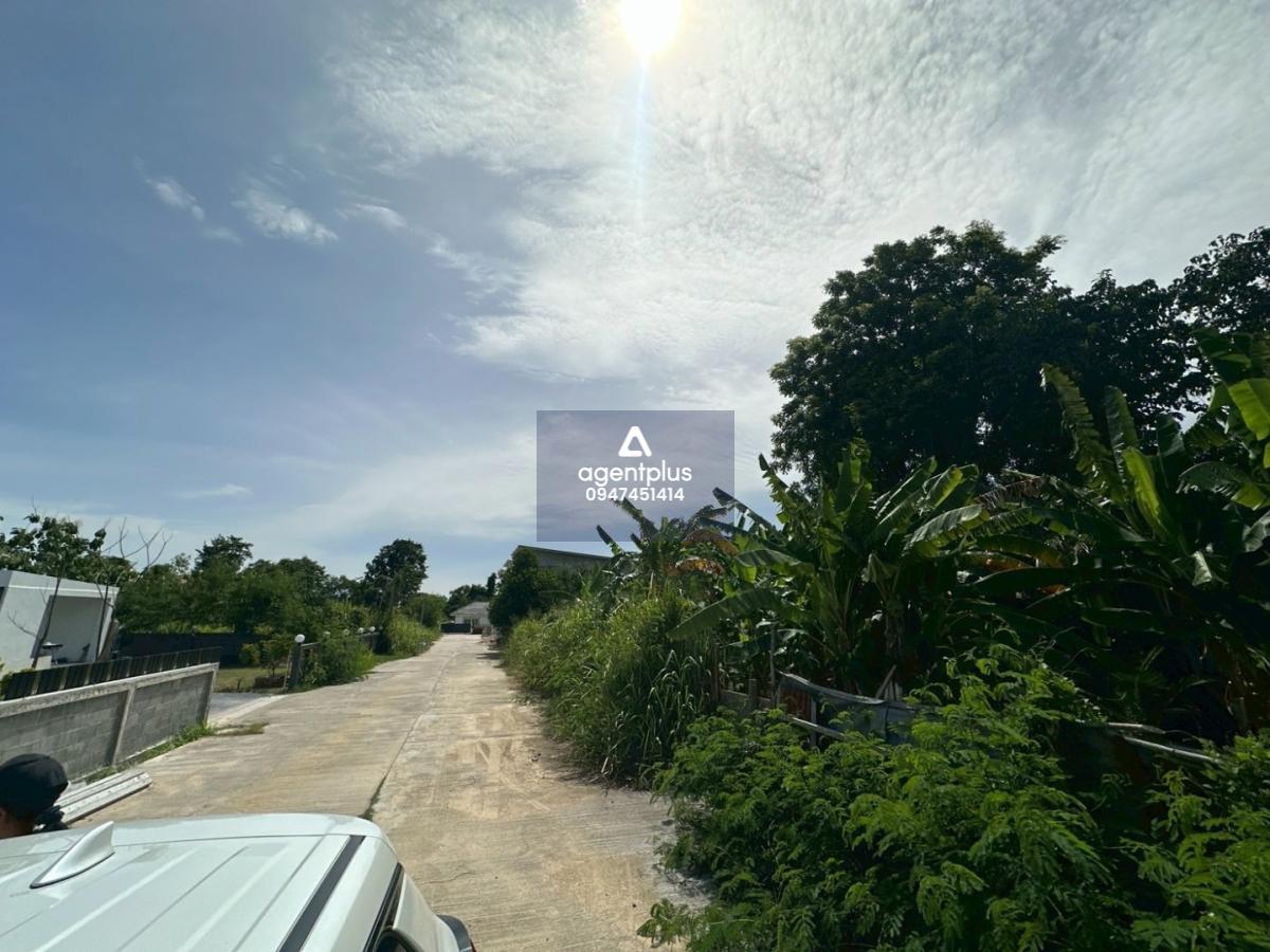  ขายที่ดินในโครงการชากนอก 19 รูปแปลงสวย