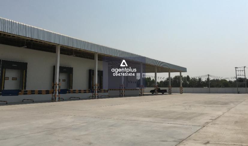 ให้เช่าโกดัง ห้องเย็น เก็บผักผลไม้  ท่าพระ