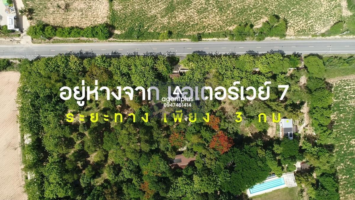 ขายที่ดินแปลงใหญ่เขาไม้แก้ว บางละมุง สามารถแบ่งขายได้ | ติดถนน 2 ด้าน • น้ำ-ไฟพร้อม