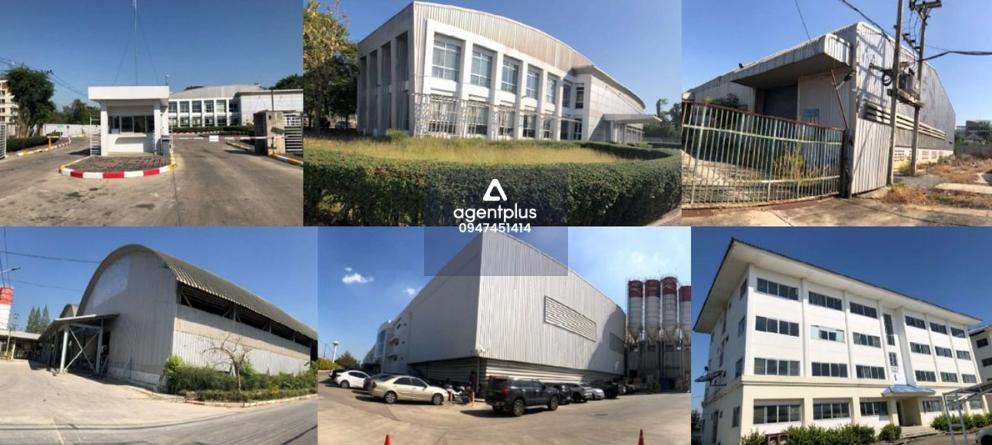 *ขายที่ดินพร้อมสิ่งปลูกสร้าง ลำลูกกาคลอง4 ปทุมธานี