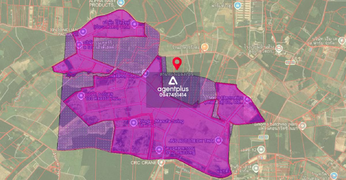 *ขาย / ให้เช่า ที่ดินสีม่วงและสีเหลืองลาย ติดนิคมอุตสาหกรรมโรจนะ หนองใหญ่ ชลบุรี